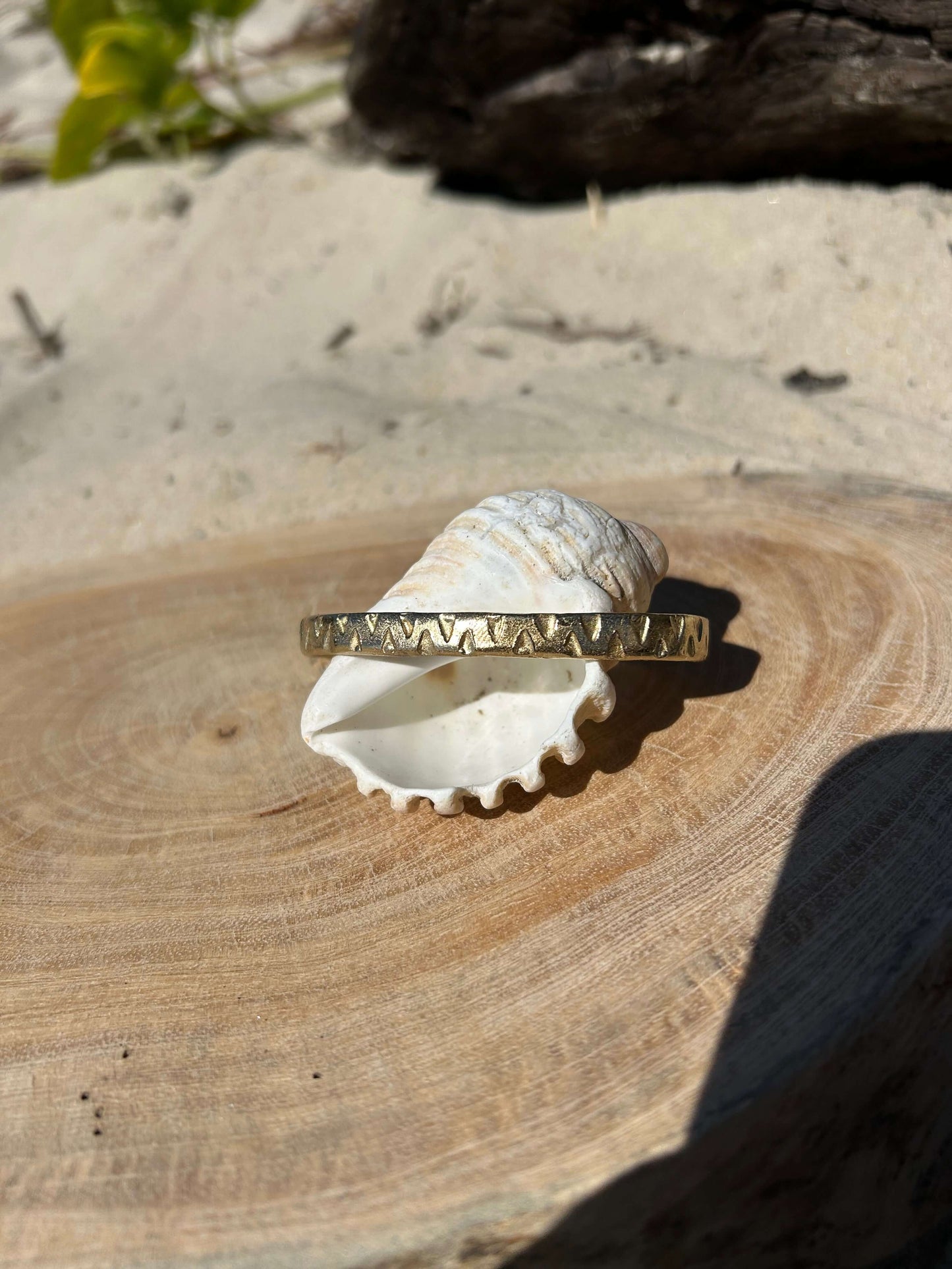 Arm Cuff - You can do it