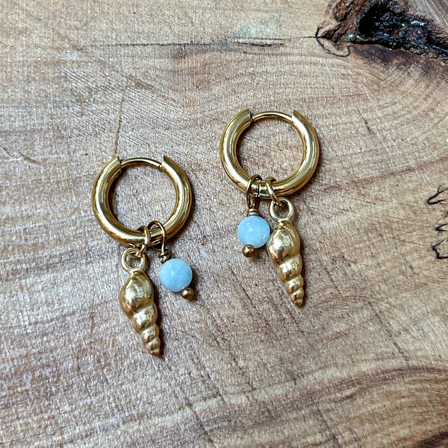 Screw Shell Earrings - Aquamarine