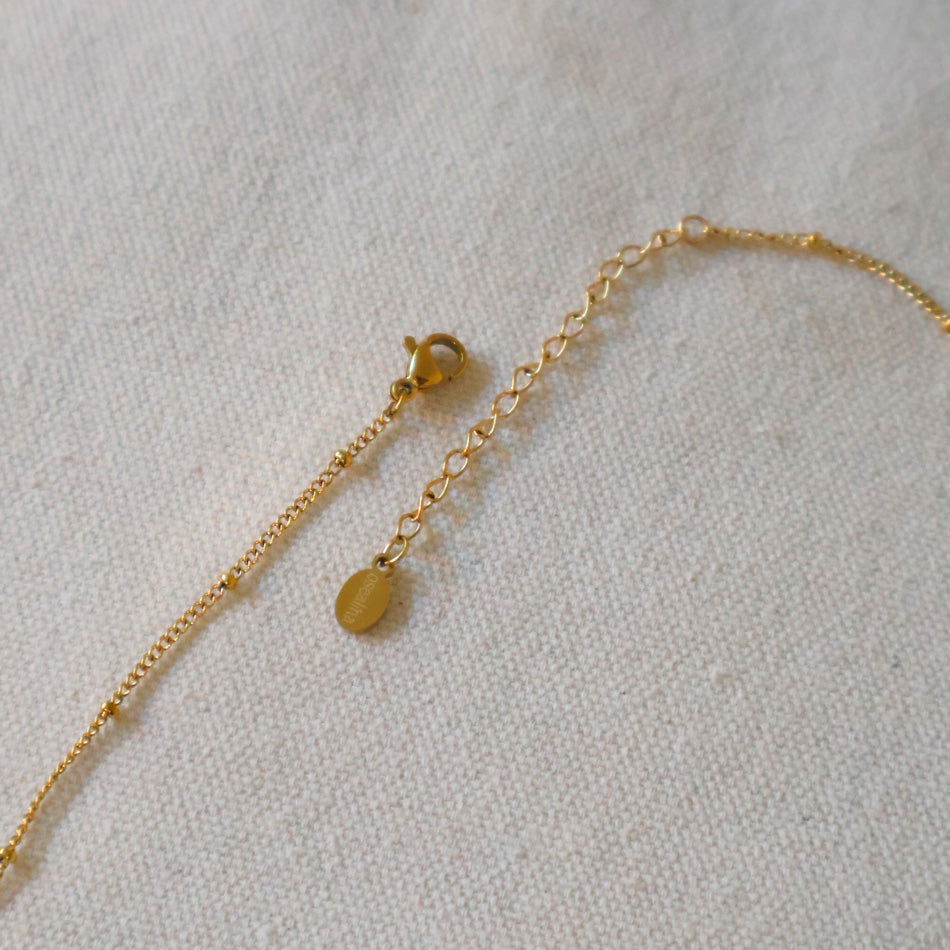Cowrie Shell Necklace