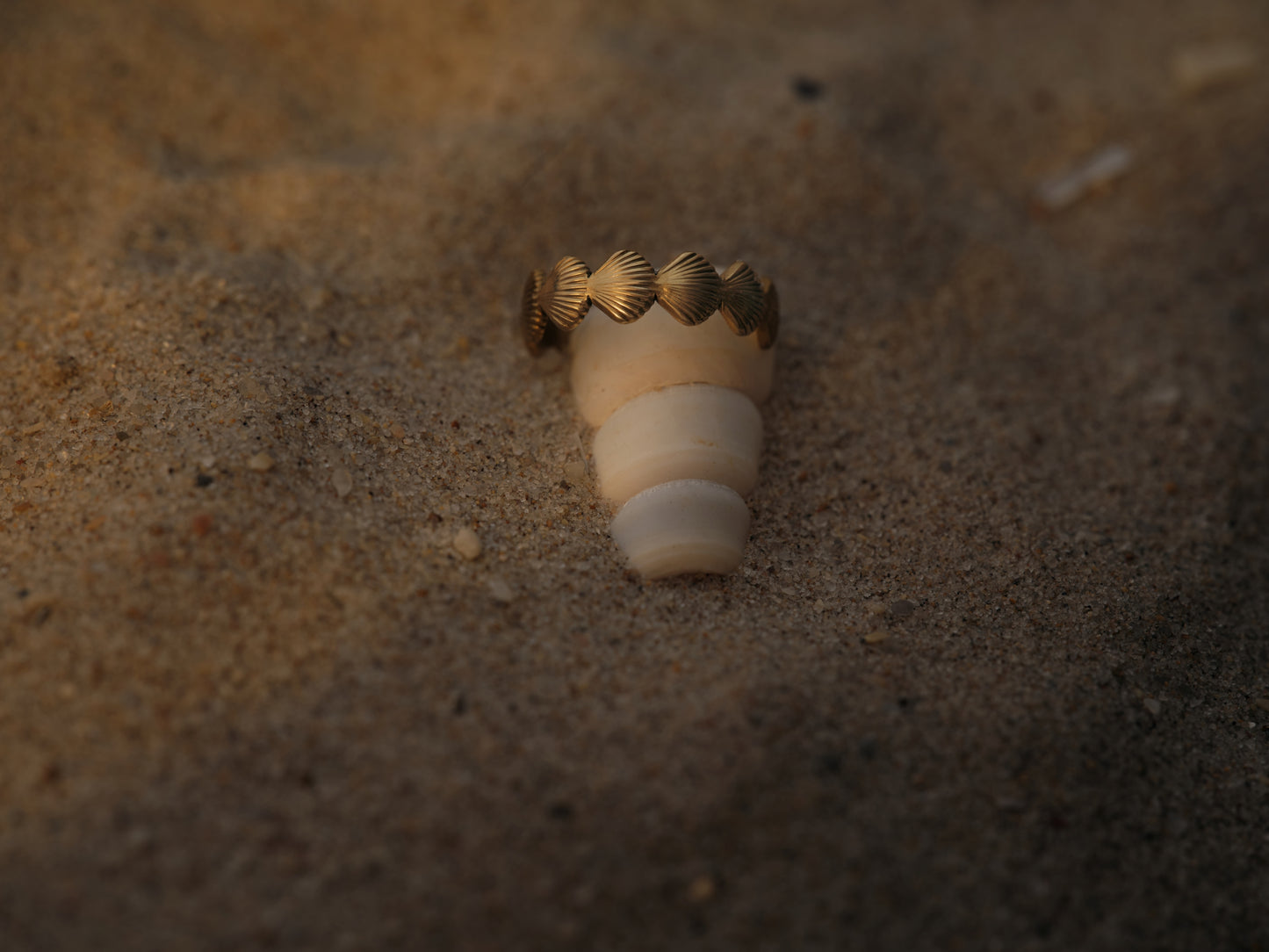 Open Shell Ring