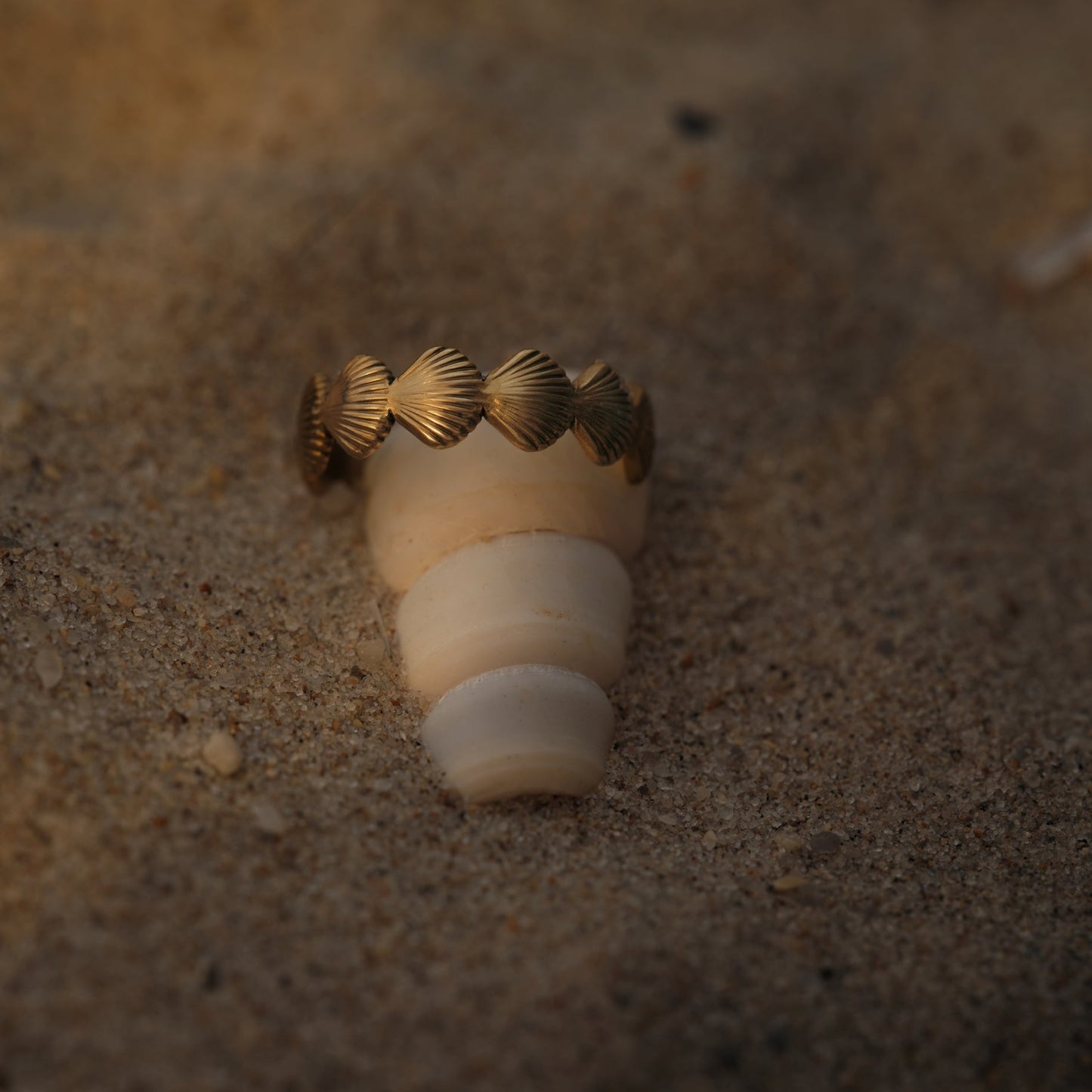 shell ring