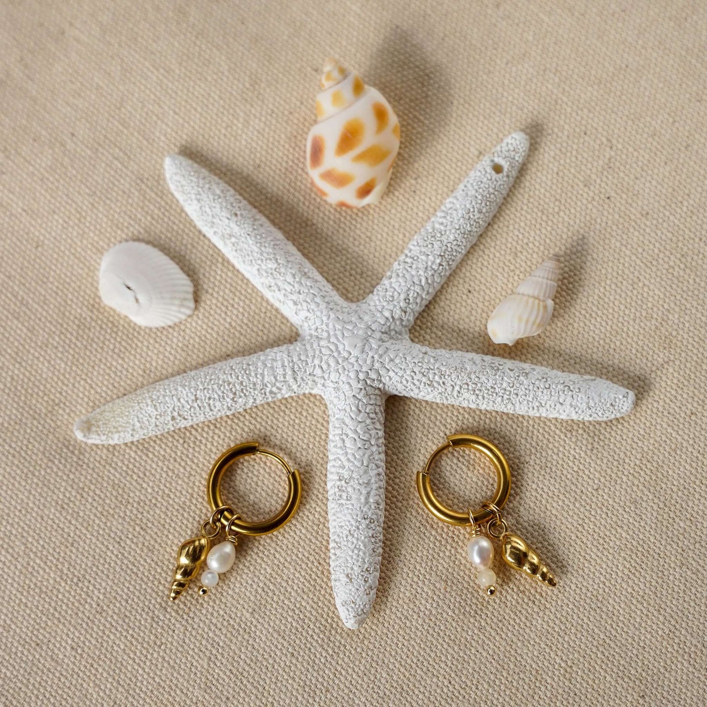Screw Shell Earrings Osealina