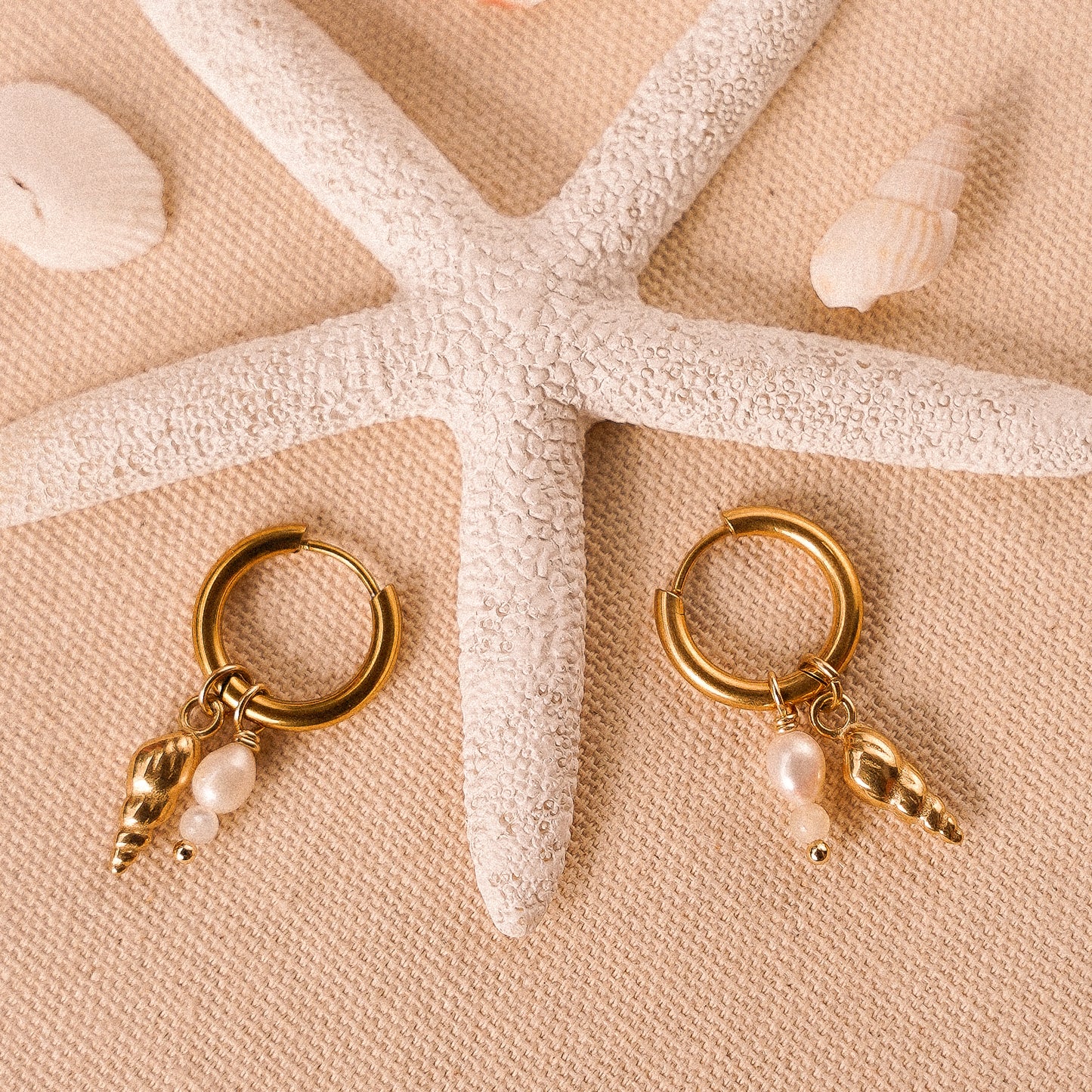 Screw Shell Earrings Osealina