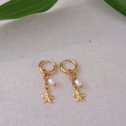 Starfish mini Earrings