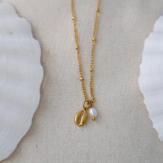 Cowrie Shell Necklace