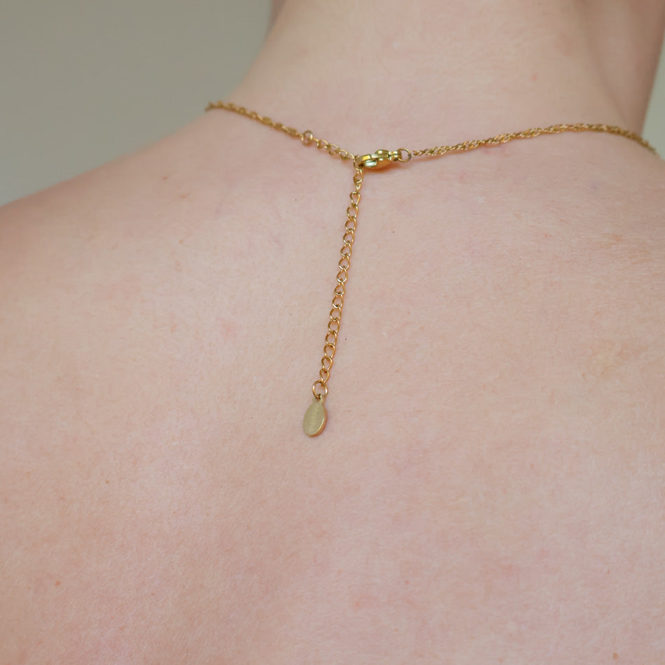 Screw Shell Necklace