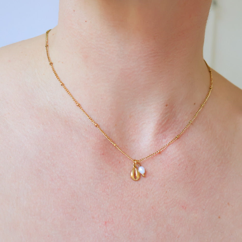 Cowrie Shell Necklace