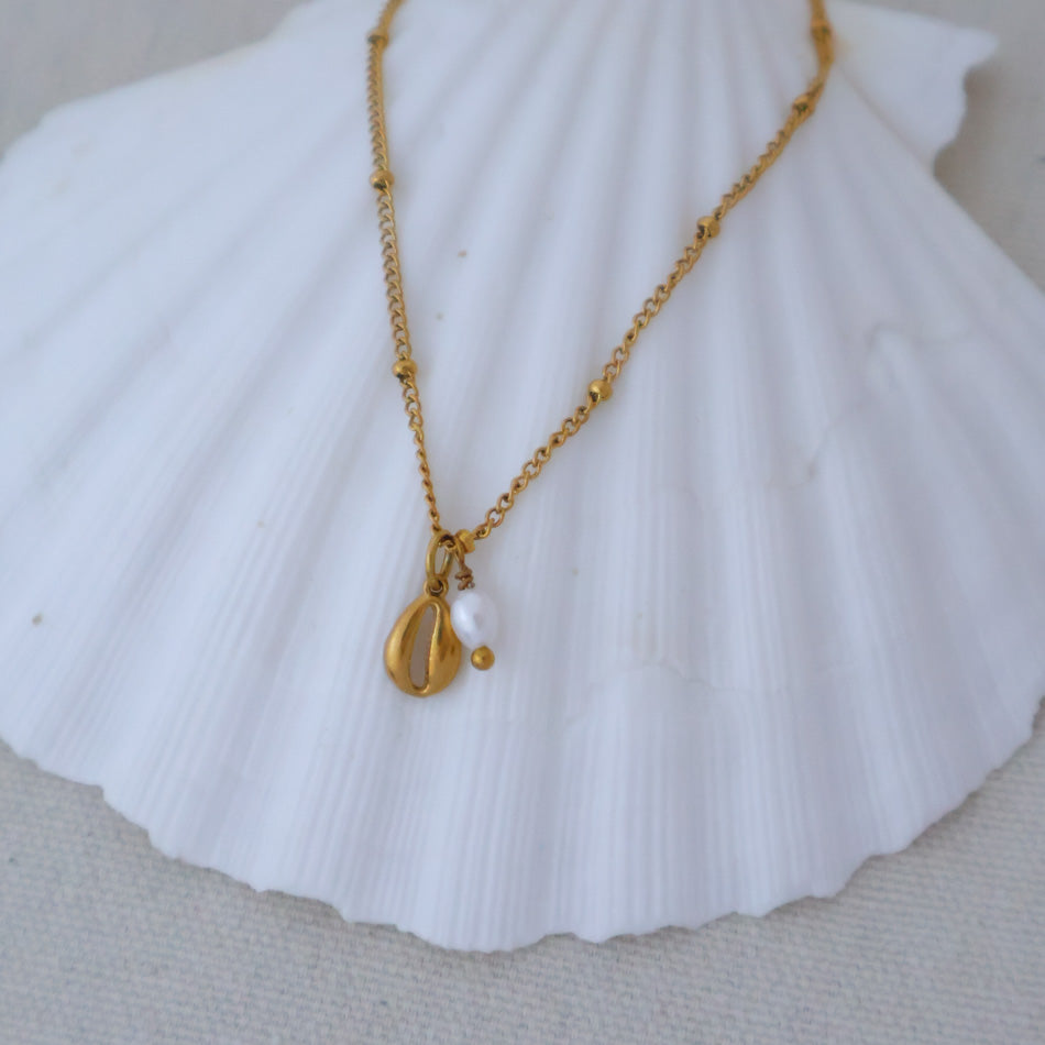 Cowrie Shell Necklace