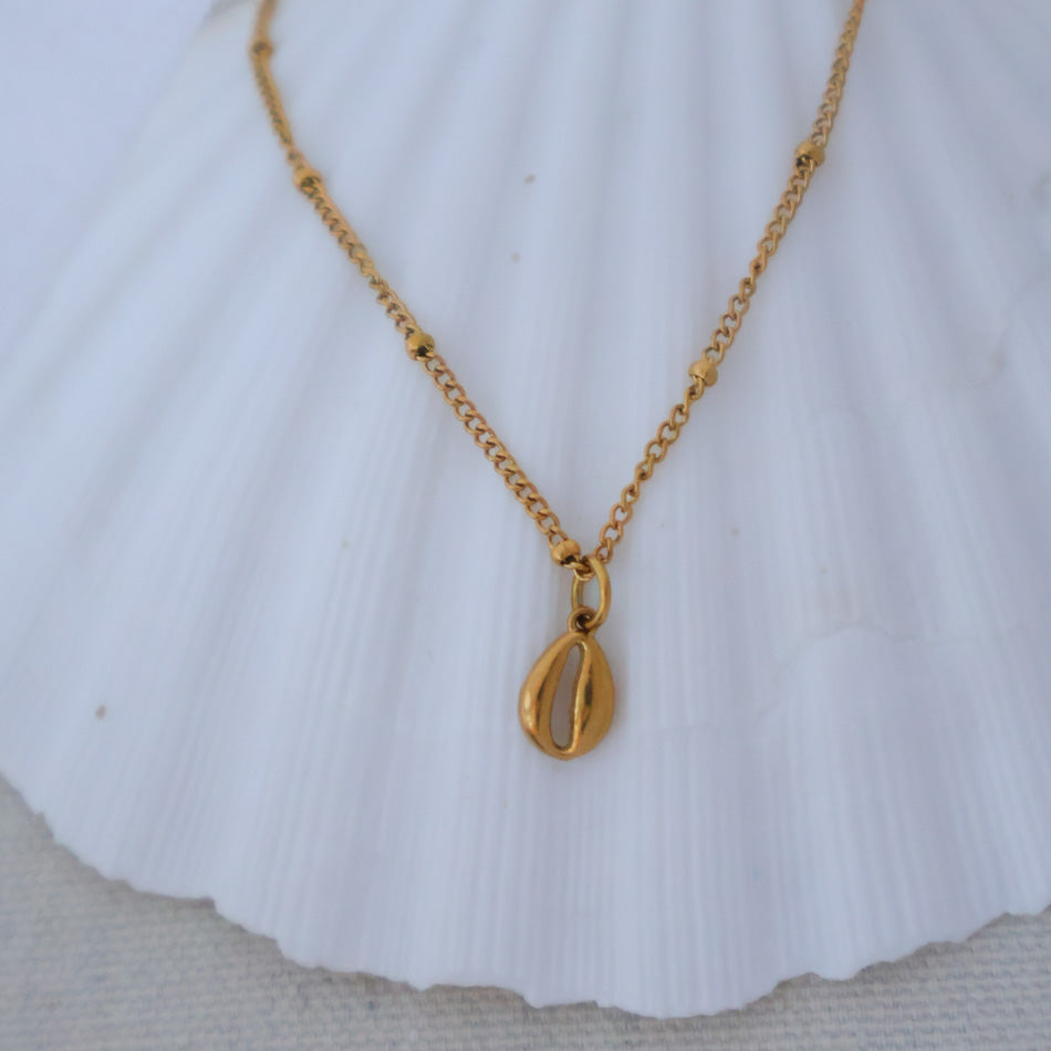 Cowrie Shell Necklace
