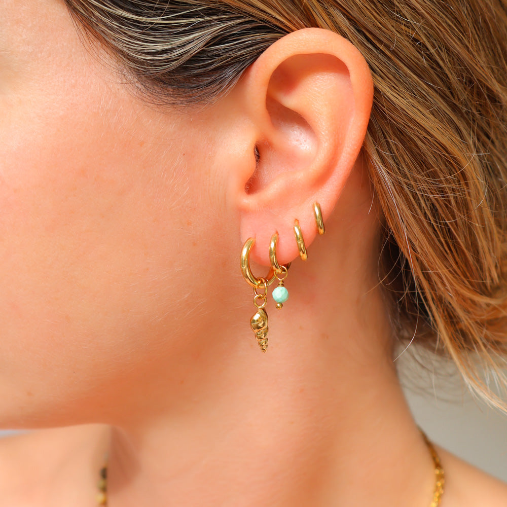 Shell Earrings with Turquoise