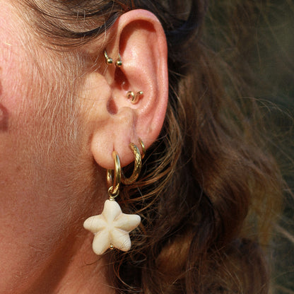 Starfish Earrings Osealina