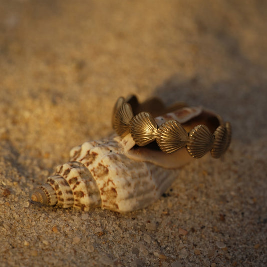 Open Shell Ring