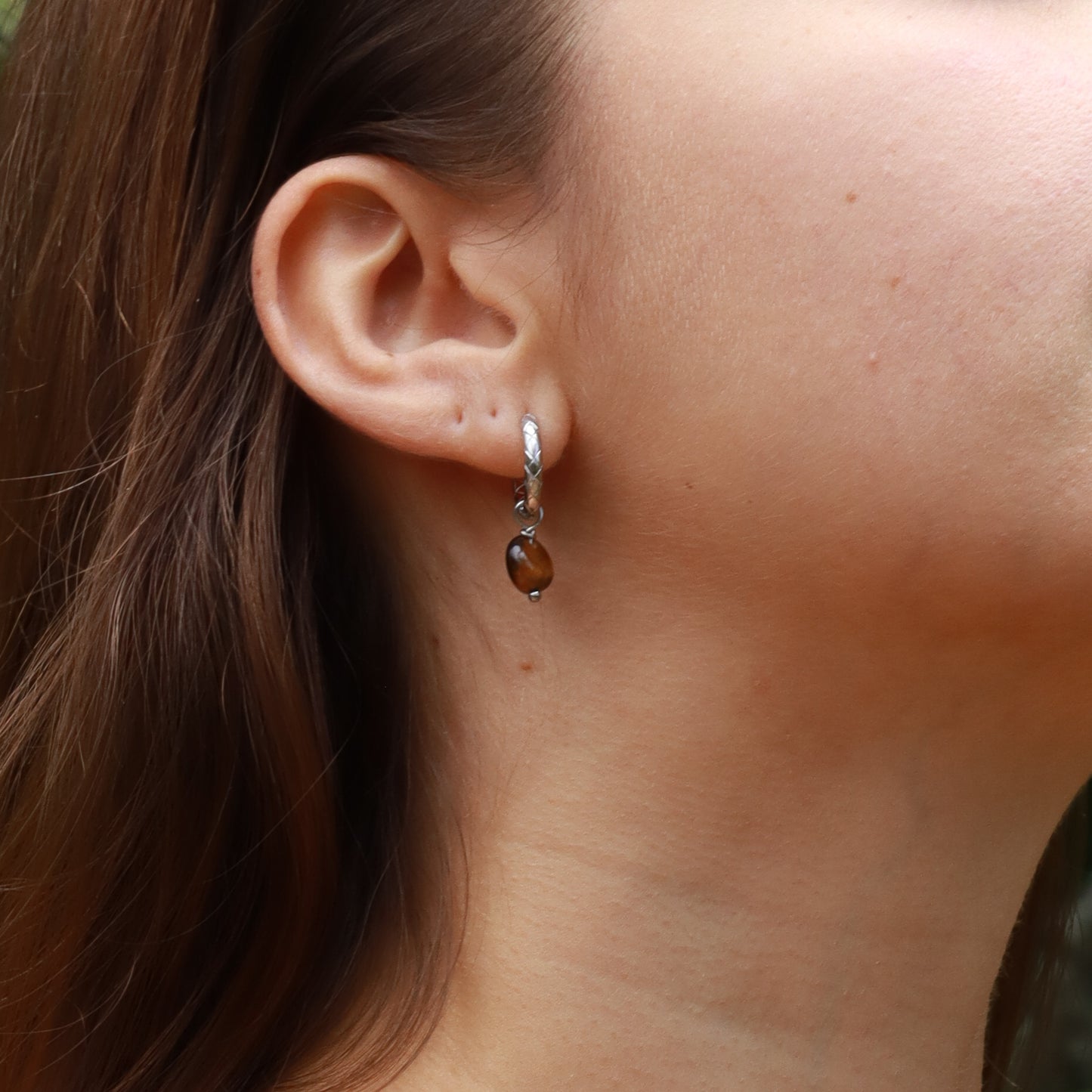 Tigers Eye Earrings - Silver