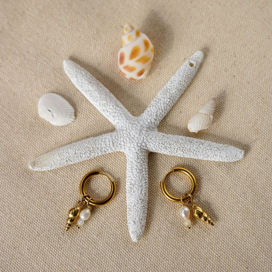 Screw Shell Earrings Osealina
